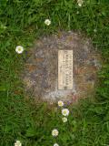 image of grave number 460648
